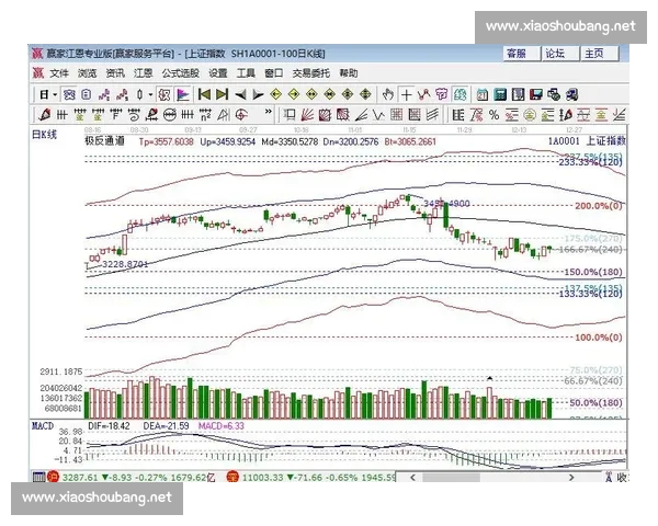 聚焦中超赛程解析与新赛季争冠走势前瞻观察热点球队备战动态追踪